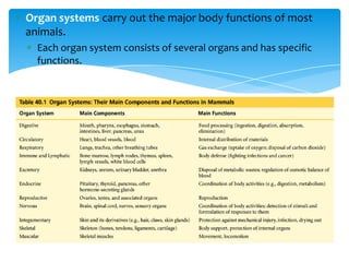 Organ systems carry out the major body functions of most
animals.
Each organ system consists of several organs and has specific
functions.
 