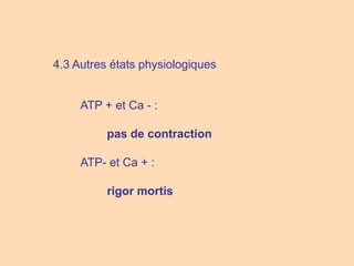 ATP + et Ca - :
4.3 Autres états physiologiques
pas de contraction
rigor mortis
ATP- et Ca + :
 