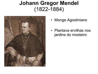 Johann Gregor Mendel (1822-1884) Monge Agostiniano Plantava ervilhas nos jardins do mosteiro 