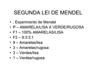 SEGUNDA LEI DE MENDEL
•   . Experimento de Mendel
•   P – AMARELA/LISA X VERDE/RUGOSA
•   F1 – 100% AMARELAS/LISA
•   F2 – 9:3:3:1
•   9 – Amarelas/lisa
•   3 – Amarelas/rugosa
•   3 – Verdes/lisa
•   1 – Verdes/rugosa
 