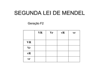 SEGUNDA LEI DE MENDEL
    Geração F2


          VR     Vr   vR   vr


   VR
   Vr
   vR
   vr
 