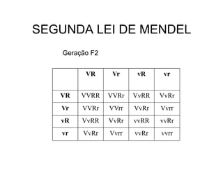 SEGUNDA LEI DE MENDEL
    Geração F2


          VR      Vr     vR     vr


   VR    VVRR    VVRr   VvRR   VvRr
   Vr    VVRr    VVrr   VvRr   Vvrr
   vR    VvRR    VvRr   vvRR   vvRr
   vr    VvRr    Vvrr   vvRr   vvrr
 