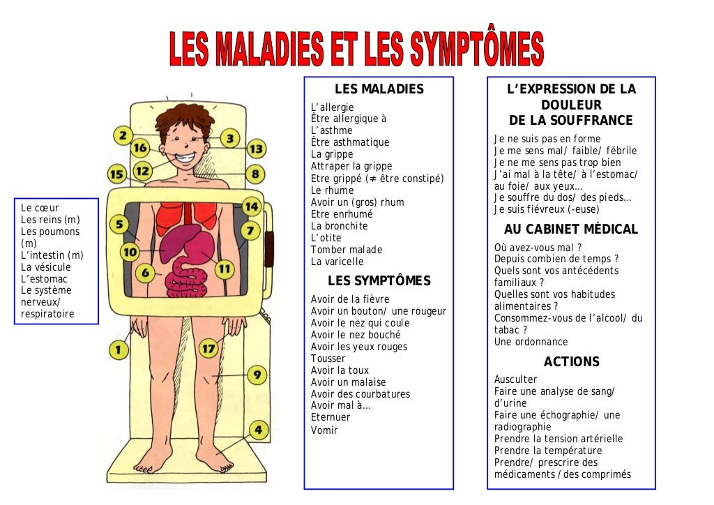 1 les parties du corps les maladies et les symptomes