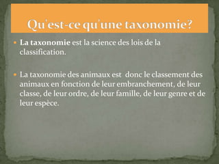 Écureuil roux espèce différenteL’espèce