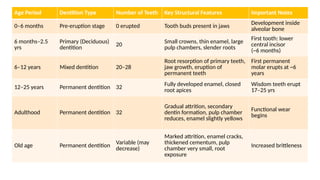 Slender Tooth Comprehensive Anatomy of the Digestive System and Related Internal ...