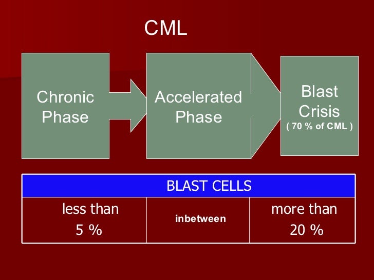 Cml Blast Phase Life Expectancy – LWWA