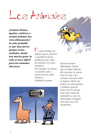 12
¿Cuántas llamas,
águilas, culebras o
arañas peludas has
visto últimamente?
Lo más probable
es que muy pocas,
porque en las
ciudades, donde
hay mucha gente, la
vida se hace difícil
para los animales
silvestres.
uchas familias de
pájaros, peces, insectos
y mamíferos tienen
problemas por culpa
de nosotros, los seres
humanos.
Por ejemplo, las llamas
no pueden salir a
pasear por las calles
céntricas.
También los patos
Los Animales
silvestres tienen
dificultades. Desde
que sus hijos salieron
del cascarón, la señora
Pata ha visto a los
aviones volar por sobre
su laguna. Ahora sus
patitos ya están grandes
y también quieren
volar. Pero la señora
Pata tiene miedo de
enseñarles a usar sus
alas porque la laguna
está muy cerca del
aeropuerto.
M
 