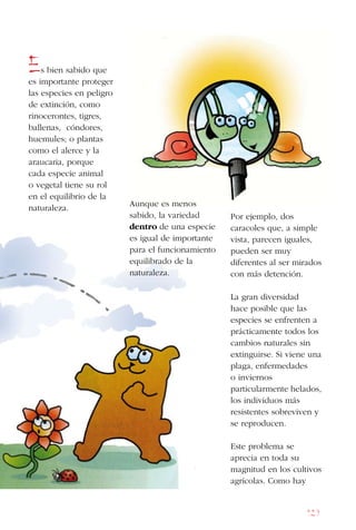 129
Es bien sabido que
es importante proteger
las especies en peligro
de extinción, como
rinocerontes, tigres,
ballenas, cóndores,
huemules; o plantas
como el alerce y la
araucaria, porque
cada especie animal
o vegetal tiene su rol
en el equilibrio de la
naturaleza. Aunque es menos
sabido, la variedad
dentro de una especie
es igual de importante
para el funcionamiento
equilibrado de la
naturaleza.
Por ejemplo, dos
caracoles que, a simple
vista, parecen iguales,
pueden ser muy
diferentes al ser mirados
con más detención.
La gran diversidad
hace posible que las
especies se enfrenten a
prácticamente todos los
cambios naturales sin
extinguirse. Si viene una
plaga, enfermedades
o inviernos
particularmente helados,
los individuos más
resistentes sobreviven y
se reproducen.
Este problema se
aprecia en toda su
magnitud en los cultivos
agrícolas. Como hay
 