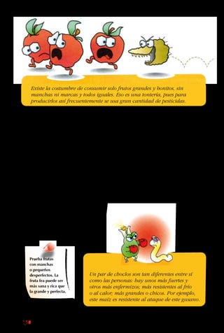 130
Un par de choclos son tan diferentes entre sí
como las personas: hay unos más fuertes y
otros más enfermizos; más resistentes al frío
o al calor; más grandes o chicos. Por ejemplo,
este maíz es resistente al ataque de este gusano.
tantos habitantes en el
planeta que necesitan
comida, se busca y
cuida principalmente
a las plantas que dan
muchos frutos. Por
eso, se tienen campos
que producen gran
cantidad de alimentos,
pero que son más
delicados frente a las
sequías y ataques de
pestes, porque no se
han buscado y cuidado
las plantas resistentes a
estos problemas.
Existe la costumbre de consumir solo frutos grandes y bonitos, sin
manchas ni marcas y todos iguales. Eso es una tontería, pues para
producirlos así frecuentemente se usa gran cantidad de pesticidas.
Cada vez que un
organismo o alguna
variedad se extingue, se
destruye la información
acumulada en sus
células durante millones
de años de evolución.
Por eso, reducir la
biodiversidad es como
quemar una enorme
biblioteca, sin jamás
haber leído sus libros.
Otra razón por la
cual es importante
conservar las especies
es porque las plantas,
insectos y animales nos
sirven para producir
remedios. Por ejemplo,
se encontraron
anticoagulantes
en la saliva de
las sanguijuelas y
antibióticos en los
hongos.
Prueba frutas
con manchas
o pequeños
desperfectos. La
fruta fea puede ser
más sana y rica que
la grande y perfecta.
 