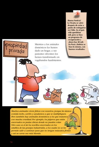 14
Además, en
“nuestras” tierras,
protegemos solo a
los animales que nos
sirven.
Criamos a los perros
porque son nuestros
amigos y nos vigilan la
casa contra ladrones; a
las vacas porque nos dan
leche; a las abejas porque
nos dan miel, y a las
gallinas porque nos dan
huevos.
Mientras a los animales
domésticos les hemos
dado un hogar, a sus
parientes silvestres los
hemos transformado en
vagabundos hambrientos.
Muchos animales viven felices con nosotros, porque les damos
comida techo, cariño y ayudamos a que se multipliquen.
Pero también hay animales domésticos a los que tratamos
con mucha crueldad.Por ejemplo, los pájaros que están
encerrados en jaulas chicas donde no pueden volar.
Otro caso es el de los novillos encerrados en los
establos de las granjas industriales, a los cuales no se les
permite salir a caminar para que no tengan músculos firmes
y así su carne sea más blanda.
¡Buena Noticia!
La Vicuña se salvó
después de estar a
punto de extinguirse
en Chile. En el país
sólo quedaban
mil, pero se hizo
un programa de
recuperación y
ahora hay 40 mil.
En Perú y Bolivia se
hizo lo mismo, con
buenos resultados.
 