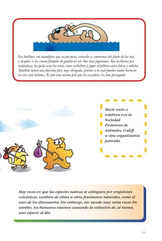 15
Los huillines son mamíferos que cazan peces, caracoles y camarones del fondo de los ríos,
y después se los comen flotando de guatita al sol. Son muy juguetones. Son acróbatas por
naturaleza, les gusta usar las rocas como resbalines y jugar al pillarse entre chicos y adultos.
También tienen una finísima piel, muy abrigada, gracias a la cual pueden nadar hasta en
los ríos más helados. Es por esta misma piel que los cazadores los han perseguido.
Hazte socio o
colabora con la
Sociedad
Protectora de
Animales, Codeff
u otra organización
parecida.
Hay veces en que las especies nativas se extinguen por erupciones
volcánicas, cambios de clima u otros fenómenos naturales, como el
caso de los dinosaurios.Sin embargo, eso sucede muy raras veces.En
cambio, los humanos estamos causando la extinción de, al menos,
una especie al día.
 