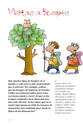 168
Hay muchos tipos de bosques en el
mundo, y cada uno es más sorprendente
que el anterior. Por ejemplo, ¿sabías
que los bosques de Sequoias de Estados
Unidos necesitan incendios para estar
con buena salud y crecer? ¿O que en los
bosques tropicales de la Amazonía hay
más vida silvestre en las ramas que en el
suelo? Aquí mismo en Chile los bosques de
Araucarias han cambiado poco desde la
época de los dinosaurios!
Visitas a Bosques
Las selvas son
algunos de los destinos
ecoturísticos favoritos
en el mundo. Los
árboles ofrecen belleza
del paisaje y sombra, y
oportunidades para ver
animales y pájaros. Los
coigües y robles viejos
y podridos atraen a
los pájaros carpinteros
porque hay larvas
 