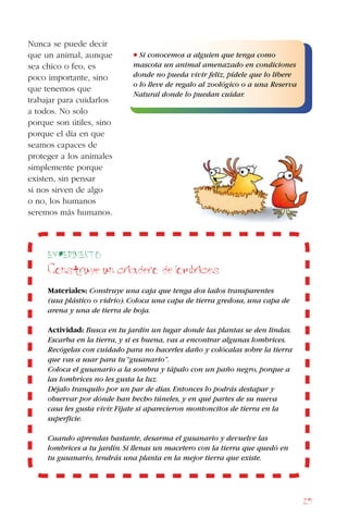 25
Nunca se puede decir
que un animal, aunque
sea chico o feo, es
poco importante, sino
que tenemos que
trabajar para cuidarlos
a todos. No solo
porque son útiles, sino
porque el día en que
seamos capaces de
proteger a los animales
simplemente porque
existen, sin pensar
si nos sirven de algo
o no, los humanos
seremos más humanos.
• Si conocemos a alguien que tenga como
mascota un animal amenazado en condiciones
donde no pueda vivir feliz, pídele que lo libere
o lo lleve de regalo al zoológico o a una Reserva
Natural donde lo puedan cuidar.
Experimento
Construye un criadero de lombrices
Materiales: Construye una caja que tenga dos lados transparentes
(usa plástico o vidrio).Coloca una capa de tierra gredosa, una capa de
arena y una de tierra de hoja.
Actividad: Busca en tu jardín un lugar donde las plantas se den lindas.
Escarba en la tierra, y si es buena, vas a encontrar algunas lombrices.
Recógelas con cuidado para no hacerles daño y colócalas sobre la tierra
que vas a usar para tu“gusanario”.
Coloca el gusanario a la sombra y tápalo con un paño negro, porque a
las lombrices no les gusta la luz.
Déjalo tranquilo por un par de días.Entonces lo podrás destapar y
observar por dónde han hecho túneles, y en qué partes de su nueva
casa les gusta vivir.Fíjate si aparecieron montoncitos de tierra en la
superficie.
Cuando aprendas bastante, desarma el gusanario y devuelve las
lombrices a tu jardín.Si llenas un macetero con la tierra que quedó en
tu gusanario, tendrás una planta en la mejor tierra que existe.
 