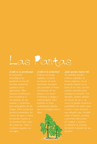 28
Las Plantas
¿Cuál es el problema?
El desarrollo
tecnológico ha
generado el uso de
muchas sustancias
químicas en la
agricultura. Ellas
incluyen fertilizantes,
para incentivar el
crecimiento de las
plantas, y pesticidas,
para protegerlas de las
plagas. Estas sustancias
pueden contaminar los
cursos de agua o entrar
en nuestro cuerpo si
no lavamos bien antes
de comer las frutas o
verduras regadas con
esa agua.
¿Cuál es la solución?
Cultivar en forma
orgánica, es decir
incorporar al suelo
nutrientes naturales
que permitan el buen
crecimiento de las
plantas y su mejor
resistencia a plagas y
enfermedades. Esto
también se logra
combinando plantas
que se protegen unas a
otras.
¿Qué puedes hacer tú?
Tú también puedes
cultivar vegetales en
forma orgánica, en un
pequeño huerto en el
patio de tu casa, usando
medios naturales para
proteger tu siembra. Por
ejemplo, puedes plantar
un diente de ajo y, al
crecer la planta, tendrás la
posibilidad de usarlo para
cocinar y para preparar
una infusión que, rociada
sobre el huerto, ayudará
a prevenir infecciones
de hongos y arañitas.
La infusión se prepara
hirviendo 8 dientes de ajo
picados.
 