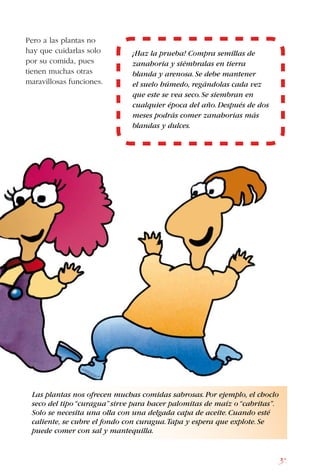 31
Pero a las plantas no
hay que cuidarlas solo
por su comida, pues
tienen muchas otras
maravillosas funciones.
Las plantas nos ofrecen muchas comidas sabrosas.Por ejemplo, el choclo
seco del tipo“curagua”sirve para hacer palomitas de maíz o“cabritas”.
Solo se necesita una olla con una delgada capa de aceite.Cuando esté
caliente, se cubre el fondo con curagua.Tapa y espera que explote.Se
puede comer con sal y mantequilla.
¡Haz la prueba! Compra semillas de
zanahoria y siémbralas en tierra
blanda y arenosa.Se debe mantener
el suelo húmedo, regándolas cada vez
que este se vea seco.Se siembran en
cualquier época del año.Después de dos
meses podrás comer zanahorias más
blandas y dulces.
 