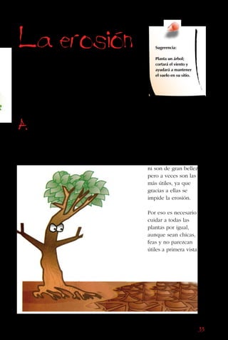 33
La erosion
La tierra se queda en su sitio gracias
a las plantas y sus raíces que se van
enganchando y anudando unas con otras,
y así van sujetándola. Si no hay plantas,
el viento y el agua se llevan el suelo, un
proceso conocido como “erosión”.
Además, las hojas
cortan el viento y no
dejan que la tierra salga
volando por el aire.
Las plantas que crecen
con poca agua, en sitios
con mucho viento, son
las que mejor detienen
la pérdida del suelo.
Muchas veces las
plantas no tienen ricos
frutos, hojas sabrosas,
ni son de gran belleza,
pero a veces son las
más útiles, ya que
gracias a ellas se
impide la erosión.
Por eso es necesario
cuidar a todas las
plantas por igual,
aunque sean chicas,
feas y no parezcan
útiles a primera vista.
Sugerencia:
Planta un árbol;
cortará el viento y
ayudará a mantener
el suelo en su sitio.
 