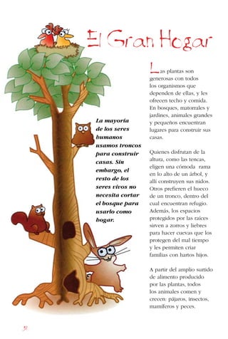 36
El Gran Hogar
La mayoría
de los seres
humanos
usamos troncos
para construir
casas. Sin
embargo, el
resto de los
seres vivos no
necesita cortar
el bosque para
usarlo como
hogar.
as plantas son
generosas con todos
los organismos que
dependen de ellas, y les
ofrecen techo y comida.
En bosques, matorrales y
jardines, animales grandes
y pequeños encuentran
lugares para construir sus
casas.
Quienes disfrutan de la
altura, como las tencas,
eligen una cómoda rama
en lo alto de un árbol, y
allí construyen sus nidos.
Otros prefieren el hueco
de un tronco, dentro del
cual encuentran refugio.
Además, los espacios
protegidos por las raíces
sirven a zorros y liebres
para hacer cuevas que los
protegen del mal tiempo
y les permiten criar
familias con hartos hijos.
A partir del amplio surtido
de alimento producido
por las plantas, todos
los animales comen y
crecen: pájaros, insectos,
mamíferos y peces.
L
 
