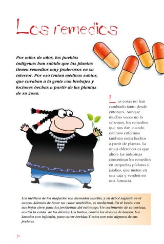 38
Los remedios
Por miles de años, los pueblos
indígenas han sabido que las plantas
tienen remedios muy poderosos en su
interior. Por eso tenían médicos sabios,
que curaban a la gente con brebajes y
lociones hechas a partir de las plantas
de su zona.
as cosas no han
cambiado tanto desde
entonces. Aunque
muchas veces no lo
sabemos, los remedios
que nos dan cuando
estamos enfermos
también están hechos
a partir de plantas. La
única diferencia es que
ahora las industrias
concentran los remedios
en pequeñas píldoras y
jarabes, que meten en
una caja y venden en
una farmacia.
L
Los médicos de los mapuche son llamados machis, y su árbol sagrado es el
canelo.Además de tener un valor simbólico, es medicinal.Un té hecho con
sus hojas sirve para los problemas del estómago.Un cocimiento de su corteza,
contra la caída de los dientes.Los baños, contra los dolores de huesos.Los
lavados con infusión, para curar heridas.Y estos son solo algunos de sus
poderes.
 