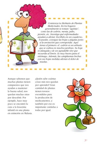 39
Aunque sabemos que
muchas plantas tienen
compuestos que nos
ayudan a mantener
la buena salud, nos
quedan muchas otras
por descubrir. Por
ejemplo, hace muy
poco se encontró la
cura a la leucemia
infantil en una planta
en extinción en Malasia.
¿Quién sabe cuántas
cosas más nos quedan
por aprender? Gran
cantidad de plantas
tienen tesoros
escondidos para
la producción de
medicamentos, y
también por eso es
importante cuidarlas a
todas por igual.
Comienza tu Herbario de Plantas
Medicinales. En los hogares
generalmente se toman “agüitas”,
como las de cedrón, menta, palto,
jazmín, etc. Investiga qué enfermedades
ayudan a aliviar. Escríbelo en un cuaderno.
Si puedes, consigue las hojas y pégalas junto
a la anotación que corresponda. Aquí
tienes el primero: el cedrón es un arbusto
que se cultiva en muchos jardines. Su hoja
es alargada y de un agradable olor que
recuerda al limón. Es muy bueno para el
estómago. Además, las cataplasmas hechas
con sus hojas molidas alivian el dolor de
muelas.
 