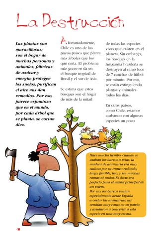40
La Destruccion
Las plantas son
maravillosas:
son el hogar de
muchas personas y
animales, fábricas
de azúcar y
energía, protegen
los suelos, purifican
el aire nos dan
remedios. Por eso,
parece espantoso
que en el mundo,
por cada árbol que
se planta, se cortan
diez.
fortunadamente,
Chile es uno de los
pocos países que planta
más árboles que los
que corta. El problema
más grave se da en
el bosque tropical de
Brasil y el sur de Asia.
Se estima que estos
bosques son el hogar
de más de la mitad
de todas las especies
vivas que existen en el
planeta. Sin embargo,
los bosques en la
Amazonía brasileña se
destruyen al ritmo loco
de 7 canchas de fútbol
por minuto. Por eso,
se están extinguiendo
plantas y animales
todos los días.
En otros países,
como Chile, estamos
acabando con algunas
especies un poco
A
Hace mucho tiempo, cuando se
usaban los barcos a velas, la
madera de araucaria era muy
valiosa por su tronco redondo,
largo, flexible, liso, y sin muchas
ramas ni nudos.Es decir, era
perfecto para el mástil principal de
un velero.
Por eso, los barcos venían
especialmente desde España
a cortar las araucarias, las
vendían muy caras en su patria,
y ayudaron a convertir a esta
especie en una muy escasa.
 