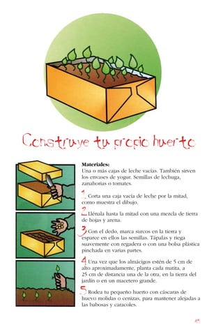 45
Construye tu propio huerto
Materiales:
Una o más cajas de leche vacías. También sirven
los envases de yogur. Semillas de lechuga,
zanahorias o tomates.
Corta una caja vacía de leche por la mitad,
como muestra el dibujo.
Llénala hasta la mitad con una mezcla de tierra
de hojas y arena.
Con el dedo, marca surcos en la tierra y
esparce en ellos las semillas. Tápalas y riega
suavemente con regadera o con una bolsa plástica
pinchada en varias partes.
Una vez que los almácigos estén de 5 cm de
alto aproximadamente, planta cada matita, a
25 cm de distancia una de la otra, en la tierra del
jardín o en un macetero grande.
Rodea tu pequeño huerto con cáscaras de
huevo molidas o cenizas, para mantener alejadas a
las babosas y caracoles.
1
2
3
4
5
 