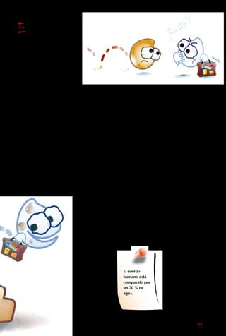 51
l mecanismo de
limpieza funciona en
los lugares tranquilos,
como charcos, lagunas
y lagos. En ellos la
tierra acumulada
durante el viaje, como
es más pesada que el
agua, se va al fondo, al
igual que los pedazos
de hojas y otros restos.
El agua también se
libera de impurezas al
hundirse en el suelo
y pasar a través de
los huecos entre las
rocas. Ellos son tan
pequeños que atrapan
las suciedades, como un
gran colador que deja
pasar solo a las gotas.
Además, cuando el
agua salta de piedra
en piedra, o cae por
una catarata, se mezcla
con el aire, y absorbe
parte de su oxígeno.
Ese oxígeno sirve para
descomponer restos de
plantas y animales, y así
también se purifica.
Por último, al
transformase en vapor y
pasar al aire, deja atrás
al resto de la mugre.
Así, cuando caen de
las nubes, las gotas
han vuelto limpias a
nosotros.
Este sistema de limpieza
es maravilloso, pero
lento. La cantidad de
agua que se evapora
cada día es poca
comparada con el total
que existe. O sea, si por
alguna razón el agua
acumula demasiadas
impurezas, pasa mucho
tiempo antes de que
vuelva a limpiarse.
Por desgracia, los seres
humanos la estamos
ensuciando tan rápido
que ya no es capaz de
purificarse a sí misma.
E
El cuerpo
humano está
compuesto por
un 70 % de
agua.
 