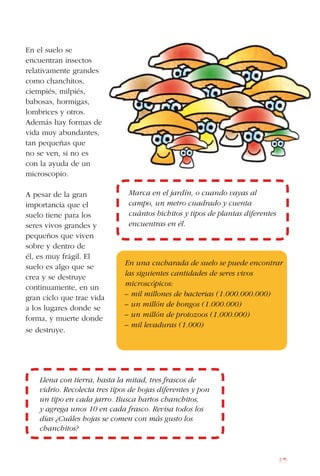 85
En el suelo se
encuentran insectos
relativamente grandes
como chanchitos,
ciempiés, milpiés,
babosas, hormigas,
lombrices y otros.
Además hay formas de
vida muy abundantes,
tan pequeñas que
no se ven, si no es
con la ayuda de un
microscopio.
A pesar de la gran
importancia que el
suelo tiene para los
seres vivos grandes y
pequeños que viven
sobre y dentro de
él, es muy frágil. El
suelo es algo que se
crea y se destruye
continuamente, en un
gran ciclo que trae vida
a los lugares donde se
forma, y muerte donde
se destruye.
Marca en el jardín, o cuando vayas al
campo, un metro cuadrado y cuenta
cuántos bichitos y tipos de plantas diferentes
encuentras en él.
En una cucharada de suelo se puede encontrar
las siguientes cantidades de seres vivos
microscópicos:
– mil millones de bacterias (1.000.000.000)
– un millón de hongos (1.000.000)
– un millón de protozoos (1.000.000)
– mil levaduras (1.000)
Llena con tierra, hasta la mitad, tres frascos de
vidrio. Recolecta tres tipos de hojas diferentes y pon
un tipo en cada jarro. Busca hartos chanchitos,
y agrega unos 10 en cada frasco. Revisa todos los
días ¿Cuáles hojas se comen con más gusto los
chanchitos?
 