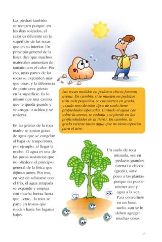 87
Las piedras también
se rompen porque, en
los días soleados, el
calor es diferente en la
superficie de las rocas
que en su interior. Un
principio general de la
física dice que muchos
materiales aumentan de
tamaño con el calor. Por
eso, unas partes de las
rocas se expanden más
que otras, y la diferencia
de porte crea grietas
en la superficie. Es lo
mismo que una camisa
que te queda grande y
se arruga, o achica y se
revienta.
En las grietas de la roca
madre se juntan gotas
de agua que se congelan
al bajar de temperatura,
por ejemplo, al llegar la
noche. El agua es una de
las pocas sustancias que
no obedece el principio
general de la física que
dijimos antes. Por eso,
en vez de achicarse con
el frío, el agua atrapada
se expande y empuja
con mucha fuerza hasta
que…crac…la roca se
parte en trozos que
ruedan hasta los lugares
bajos.
Un suelo de roca
triturada, sea en
pedazos grandes
(arena) o chicos
(greda), sirve
poco a las plantas
porque no puede
retener aire y
agua a la vez.
Para convertirse
en un buen
suelo, aun se le
deben agregar
muchas cosas.
Las rocas molidas en pedazos chicos forman
arena. En cambio, si se muelen en pedazos
aún más pequeños, se convierten en greda,
y cada uno de estos tipos de suelo tiene
propiedades especiales. Cuando el agua cae
sobre la arena, se resbala y se pierde en las
profundidades de la tierra. En cambio, la
greda retiene tanta agua que no tiene espacios
para el aire.
 