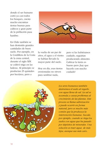 94
Los seres humanos también
destruimos el suelo al regarlo
con agua llena de sal. La sal se
acumula y causa problemas al
crecimiento de las plantas. Este
proceso se llama salinización
y puede ocurrir en forma
natural, pero es mucho más
común que la produzca la
intervención humana. Sucede,
por ejemplo, cuando se riega los
suelos con agua que ha pasado
por depósitos de minerales. Una
solución es traer agua de más
lejos, aunque sea más caro.
donde el ser humano
cortó ya casi todos
los bosques, cuesta
mucho encontrar
tierras buenas para
cultivos y gran parte
de la población pasa
hambre.
En Chile también se
han destruido grandes
cantidades de buen
suelo. Por ejemplo, en
la Cordillera de la Costa
de la zona central,
durante el siglo XIX
se cultivó trigo en las
laderas. Al principio se
producían 25 quintales
por hectárea, pero a
la vuelta de un par de
años, el agua y el viento
se habían llevado la
mayor parte del suelo.
Hoy en día, esas tierras
erosionadas no sirven
para sembrar nada,
pero si las hubiéramos
cuidado, seguirían
produciendo alimento.
Cultivar la tierra es
bueno pero ¡hay que
hacerlo con mucho
cuidado!
 
