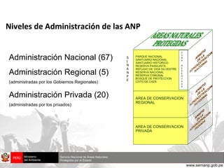 Niveles de Administración de las ANP Administración Nacional (67) Administración Regional (5) (administradas por los Gobiernos Regionales) Administración Privada (20) (administradas por los privados) PARQUE NACIONAL SANTUARIO NACIONAL SANTUARIO HISTORICO RESERVA PAISAJISTA REFUGIO DE VIDA SILVESTRE RESERVA NACIONAL RESERVA COMUNAL BOSQUE DE PROTECCION COTO DE CAZA AREA DE CONSERVACION REGIONAL AREA DE CONSERVACION PRIVADA Z O N A R E S E R V A D A AREAS NATURALES PROTEGIDAS S INANPE 