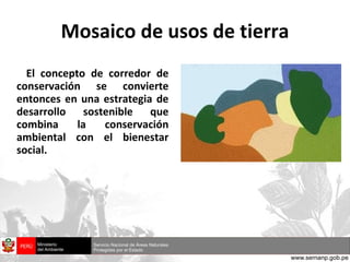 Mosaico de usos de tierra El concepto de corredor de conservación se convierte entonces en una estrategia de desarrollo sostenible que combina la conservación ambiental con el bienestar social. 