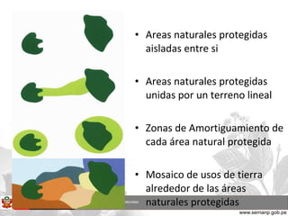 Areas naturales protegidas aisladas entre si Areas naturales protegidas unidas por un terreno lineal Zonas de Amortiguamiento de cada área natural protegida Mosaico de usos de tierra alrededor de las áreas naturales protegidas 