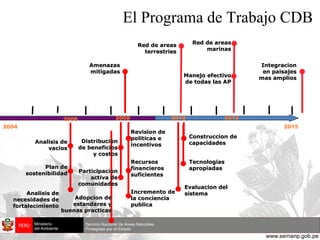 2004 2015  Adopcion de estandares y buenas practicas El Programa de Trabajo CDB  Analisis de necesidades de fortalecimiento 2008 2012 2010 Red de areas terrestries Red de areas marinas Integracion en paisajes mas amplios Amenazas mitigadas Manejo efectivo de todas las AP Revision de politicas e incentivos Distribucion de beneficios y costos Participacion activa de comunidades Recursos financieros suficientes Incremento de la conciencia publica Construccion de capacidades Tecnologias apropiadas Evaluacion del sistema 2006 Analisis de vacios Plan de sostenibilidad 