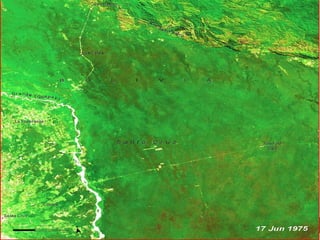 CULTIVOS – Santa Cruz, Bolivia  17 de junio de 1975  