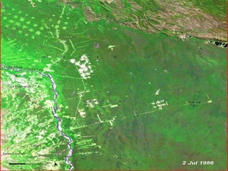 CULTIVOS – Santa Cruz, Bolivia  2 de julio de 1986  