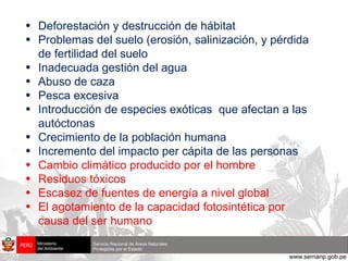 Deforestación y destrucción de hábitat Problemas del suelo (erosión, salinización, y pérdida de fertilidad del suelo Inadecuada gestión del agua  Abuso de caza Pesca excesiva Introducción de especies exóticas  que afectan a las autóctonas Crecimiento de la población humana Incremento del impacto per cápita de las personas Cambio climático producido por el hombre Residuos tóxicos Escasez de fuentes de energía a nivel global El agotamiento de la capacidad fotosintética por causa del ser humano 