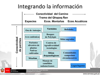 Integrando la información 
