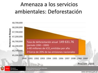 Amenaza a los servicios ambientales: Deforestación  Tasa  de  deforestación  anual  149 631.76 (periodo 1990 – 2000) 40 millones de tCO 2  emitidas por año Cerca de 20% de las emisiones nacionales ProClim 2005 