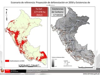 Escenario de referencia: Proyección de deforestación en 2050 y Existencias de carbono Fuente: Soarez Filho, 2005 Tx Def . 177 078 ha (BAU) Existencias de Carbono  17 GtCO2 