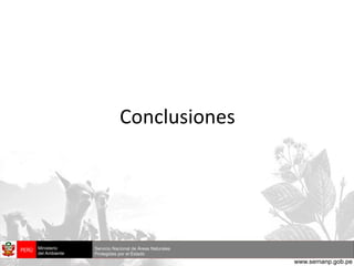 Conclusiones 