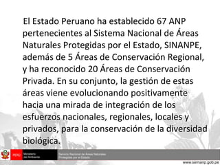 El Estado Peruano ha establecido 67 ANP pertenecientes al Sistema Nacional de Áreas Naturales Protegidas por el Estado, SINANPE, además de 5 Áreas de Conservación Regional, y ha reconocido 20 Áreas de Conservación Privada. En su conjunto, la gestión de estas áreas viene evolucionando positivamente hacia una mirada de integración de los esfuerzos nacionales, regionales, locales y privados, para la conservación de la diversidad biológica. 