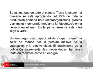 Se estima que en todo el planeta Tierra la economía humana se está apropiando del 25% de toda la producción primaria neta (microorganismos, plantas y animales), generada mediante la fotosíntesis en la tierra y en el mar. En la parte terrestre esta cifra llega al 40%. Sin embargo, esta capacidad de atrapar la energía solar se reduce por la pérdida masiva de la vegetación y la biodiversidad. El crecimiento de la población incrementa las necesidades humanas tanto en recursos como en energía 