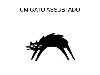UM GATO ASSUSTADO
 