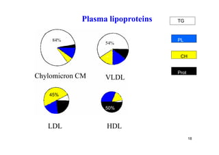 Plasma lipoproteins   TG



    84%                           PL
                  54%

                                   CH


                                  Prot
Chylomicron CM    VLDL

    45%

                  50%


   LDL            HDL
                                         18
 