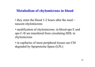 Metabolism of chylomicrons in blood

• they enter the blood 1-2 hours after the meal –
nascent chylomicrons
• modification of chylomicrons: in blood apo E and
apo C-II are transfered from circulating HDL to
chylomicrons
• in capilaries of most peripheral tissues are CM
degraded by lipoproteine lipase (LPL)



                                                     23
 