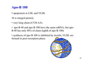 Apo-B 100
• apoprotein in LDL and VLDL
•It is integral protein
• very long chain (4 536 AA)
• apo-B 48 and apo-B 100 have the same mRNA, but apo-
B 48 has only 48% of chain leghth of apo-B 100)
• synthesis of apo-B 100 is inhibited by insulin, VLDL are
formed in post-resorption phase




                                                             31
 