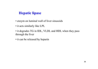 Hepatic lipase

• enzym on luminal wall of liver sinusoids
• it acts similarly like LPL
• it degrades TG in IDL, VLDL and HDL when they pass
through the liver
• it can be released by heparin




                                                       36
 