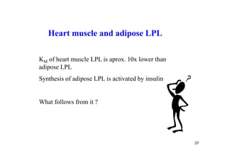 Heart muscle and adipose LPL

KM of heart muscle LPL is aprox. 10x lower than
adipose LPL
Synthesis of adipose LPL is activated by insulin


What follows from it ?




                                                   37
 
