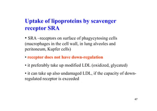 Uptake of lipoproteins by scavenger
receptor SRA
• SRA –receptors on surface of phagycytosing cells
(macrophages in the cell wall, in lung alveoles and
peritoneum, Kupfer cells)
• receptor does not have down-regulation
• it preferably take up modified LDL (oxidized, glycated)
• it can take up also undamaged LDL, if the capacity of down-
regulated receptor is exceeded



                                                            47
 