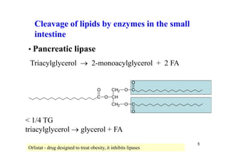 Cleavage of lipids by enzymes in the small
   intestine
• Pancreatic lipase
 Triacylglycerol  2-monoacylglycerol + 2 FA

                                                         O
                                      O       CH2    O C
                                      C O CH
                                              CH2    O C
                                                         O

< 1/4 TG
triacylglycerol  glycerol + FA
                                                                 5
Orlistat - drug designed to treat obesity, it inhibits lipases
 